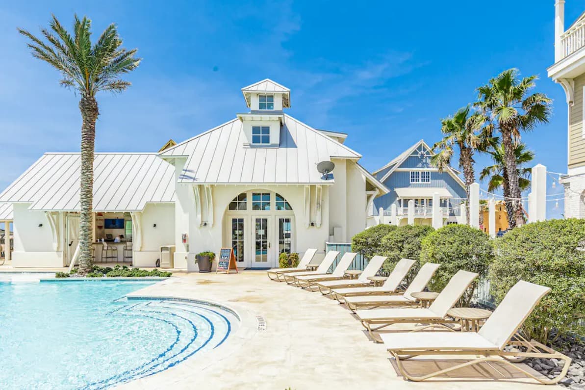 Spanish Dagger Serenity - Image 29