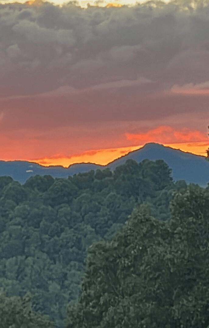 Hawthorn House - Image 14