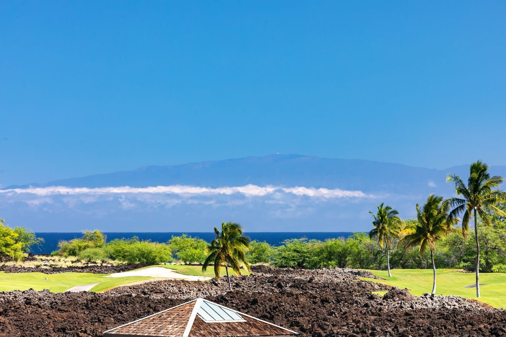 One Ocean Ohana - Image 69