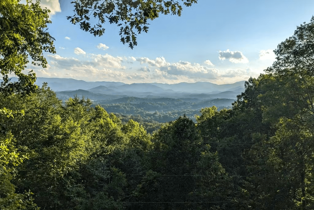 Black Bear Cabin - Image 24