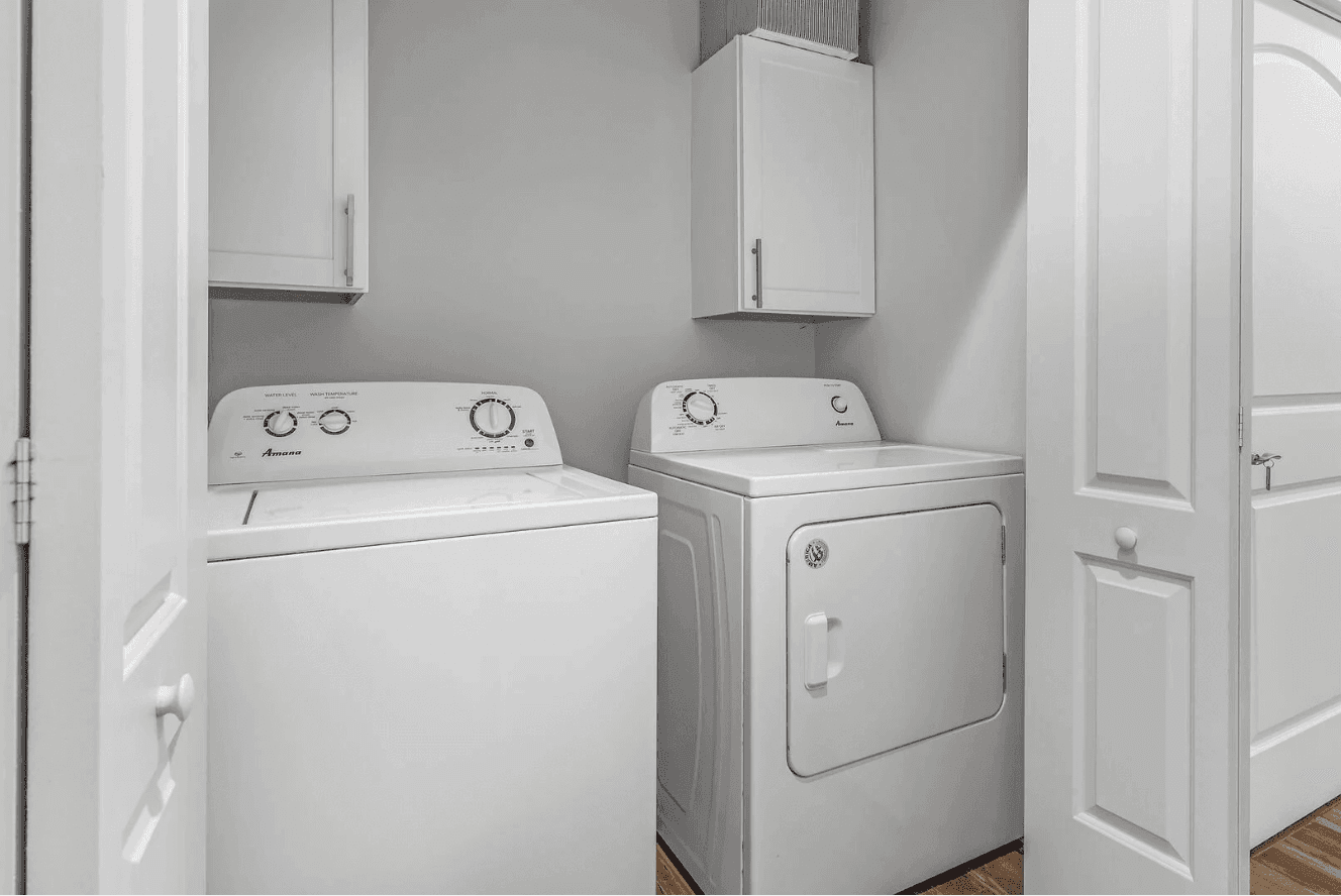 Pura Vida - Image 18