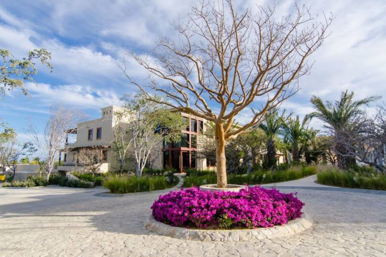 Casa Cobra - Image 23