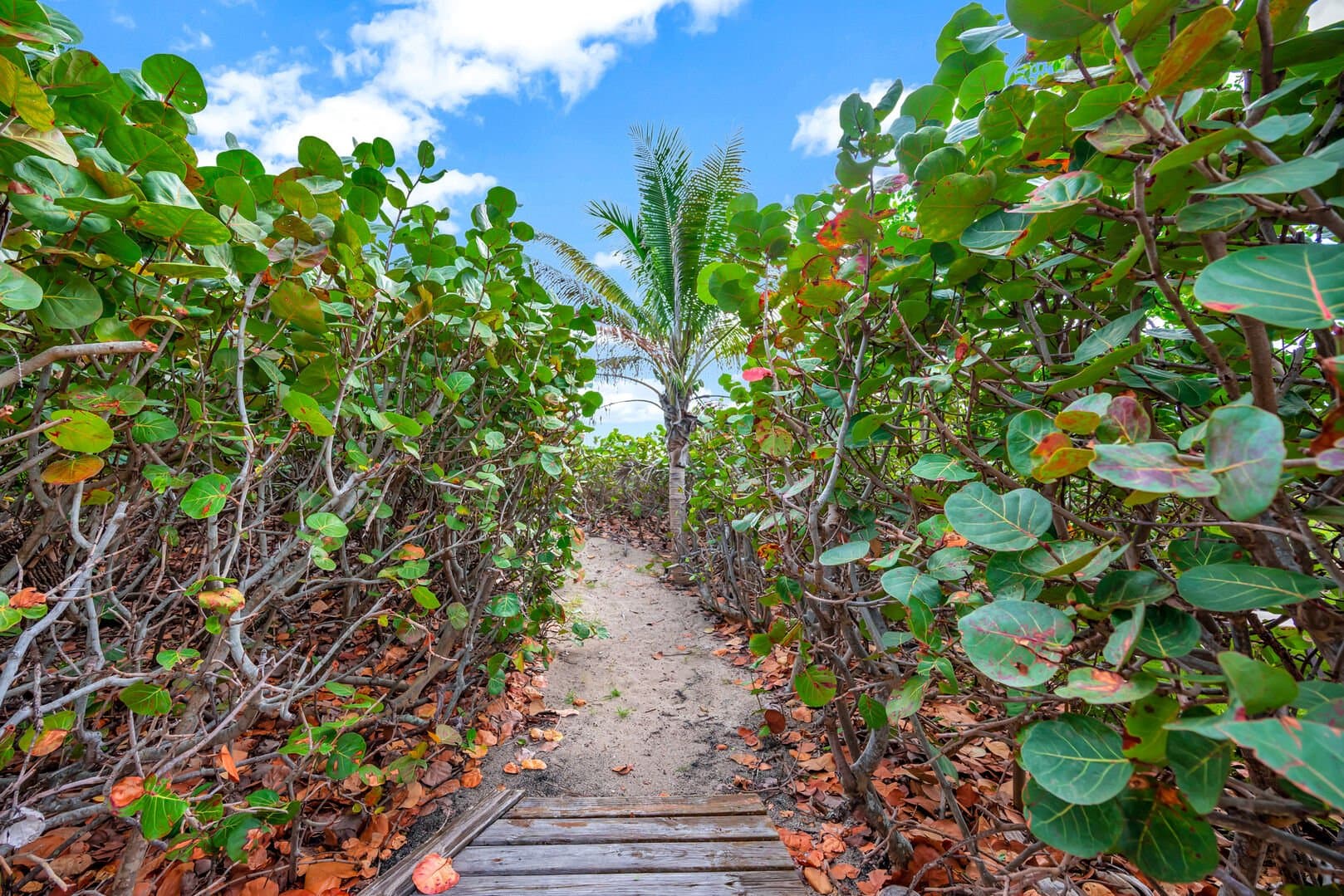 Oceanfront Estate - Image 30