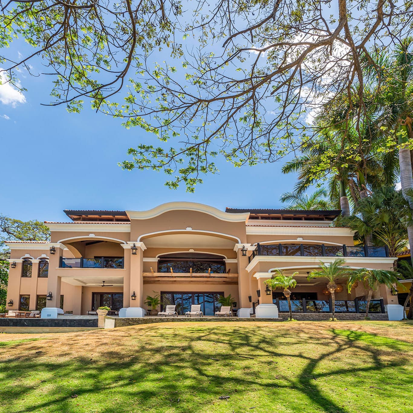 Hacienda del Arbol - Image 1