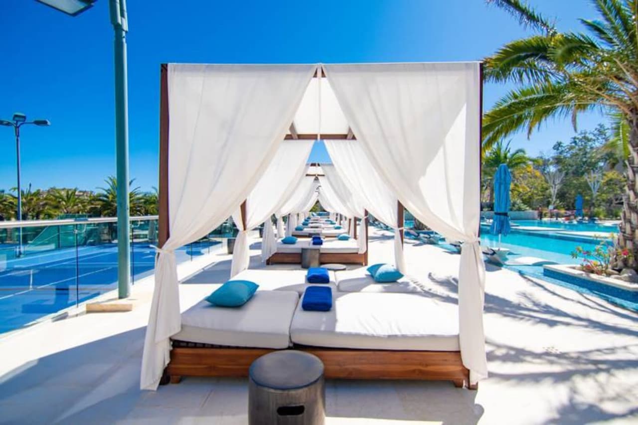 Coco Palma - Image 11