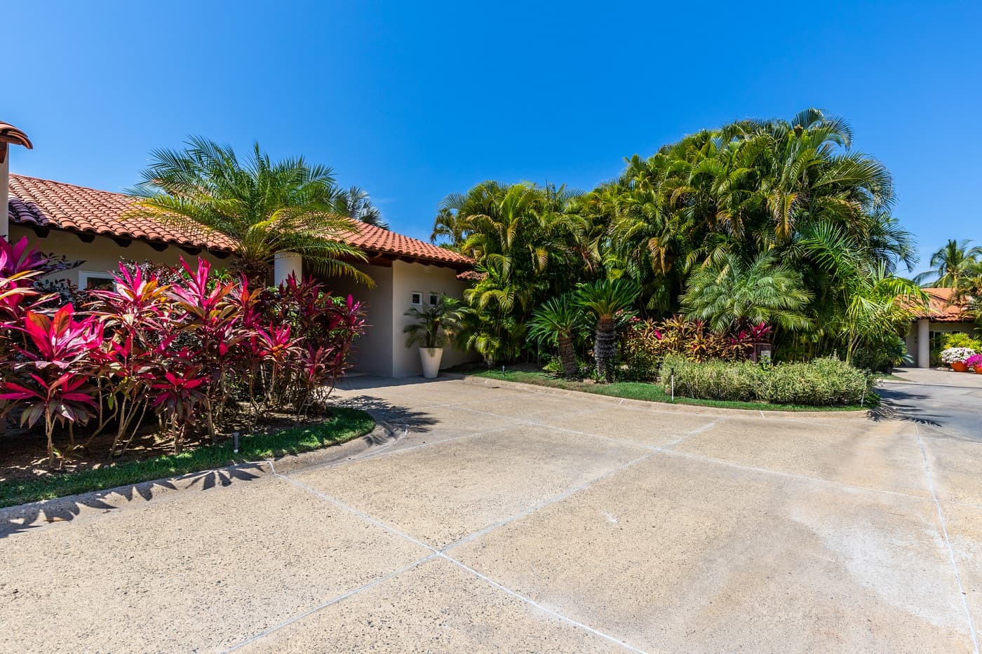 Las Palmas #5 - Image 40