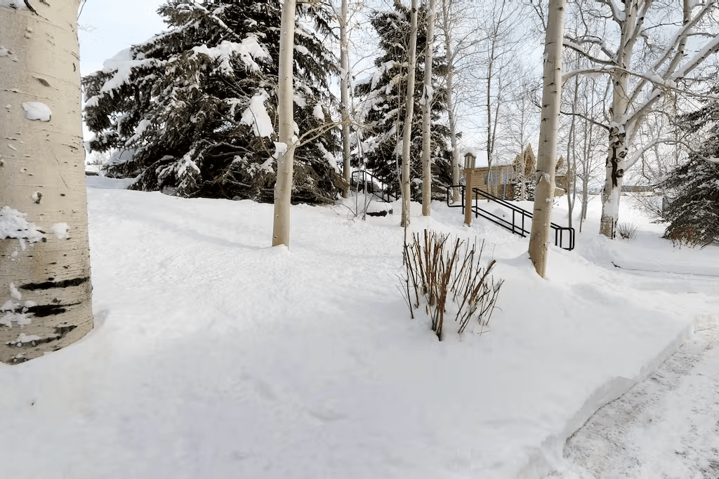 Snowcreek Delight - Image 24