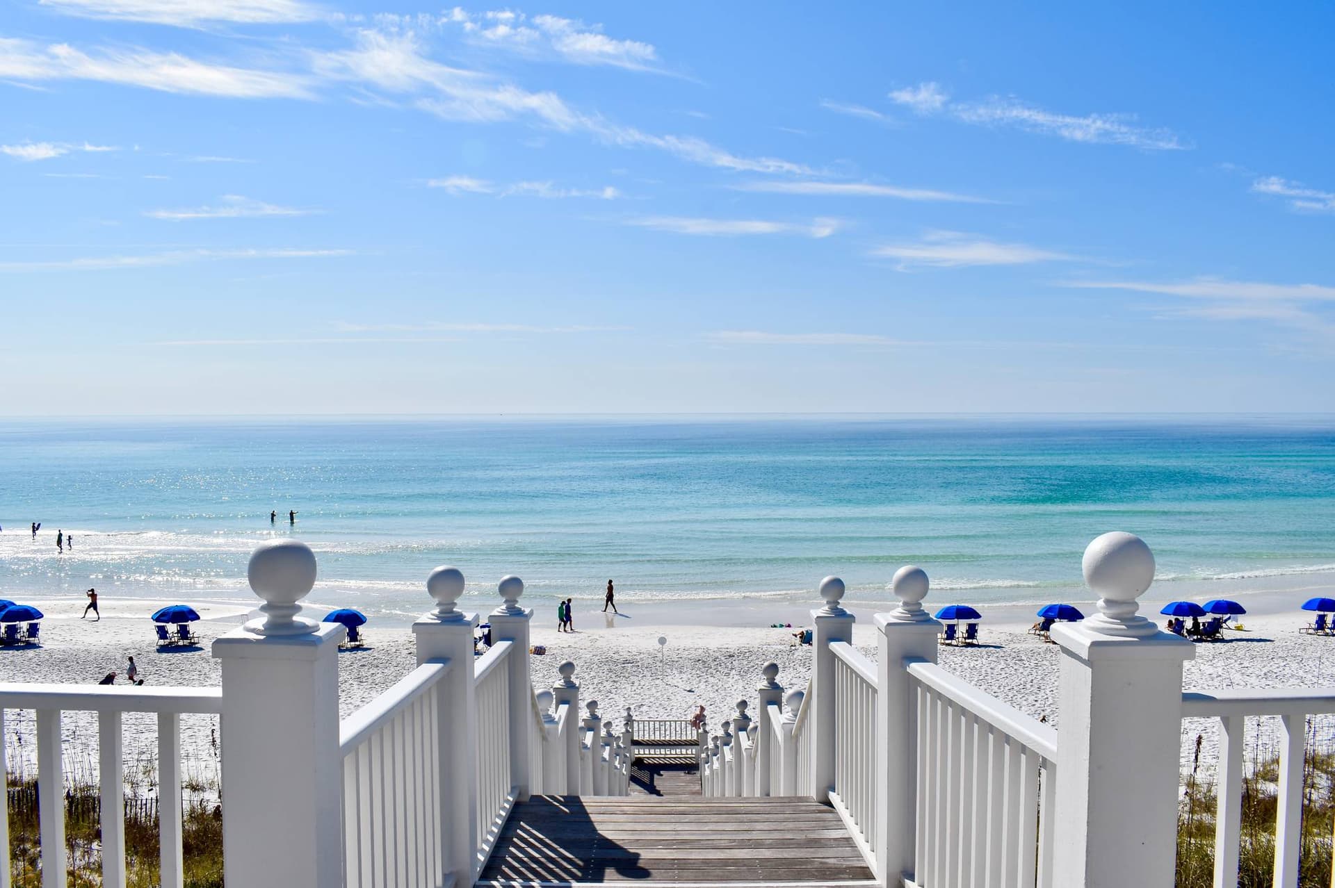 Biscuit Place - Image 39