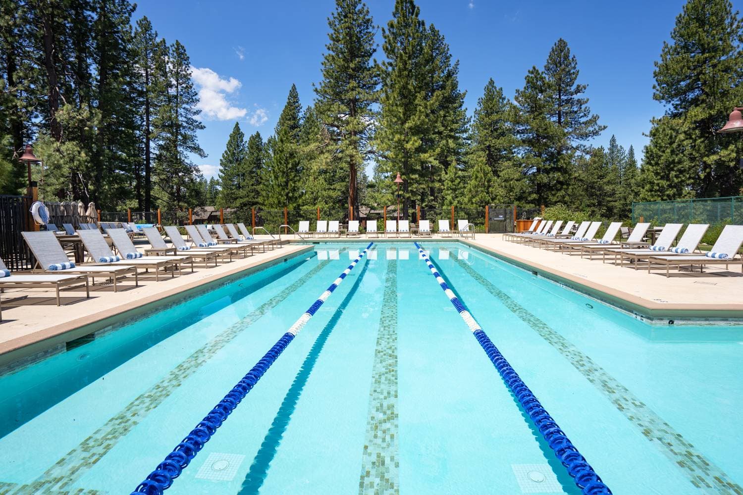 Sutter's Trail 11272 - Image 53