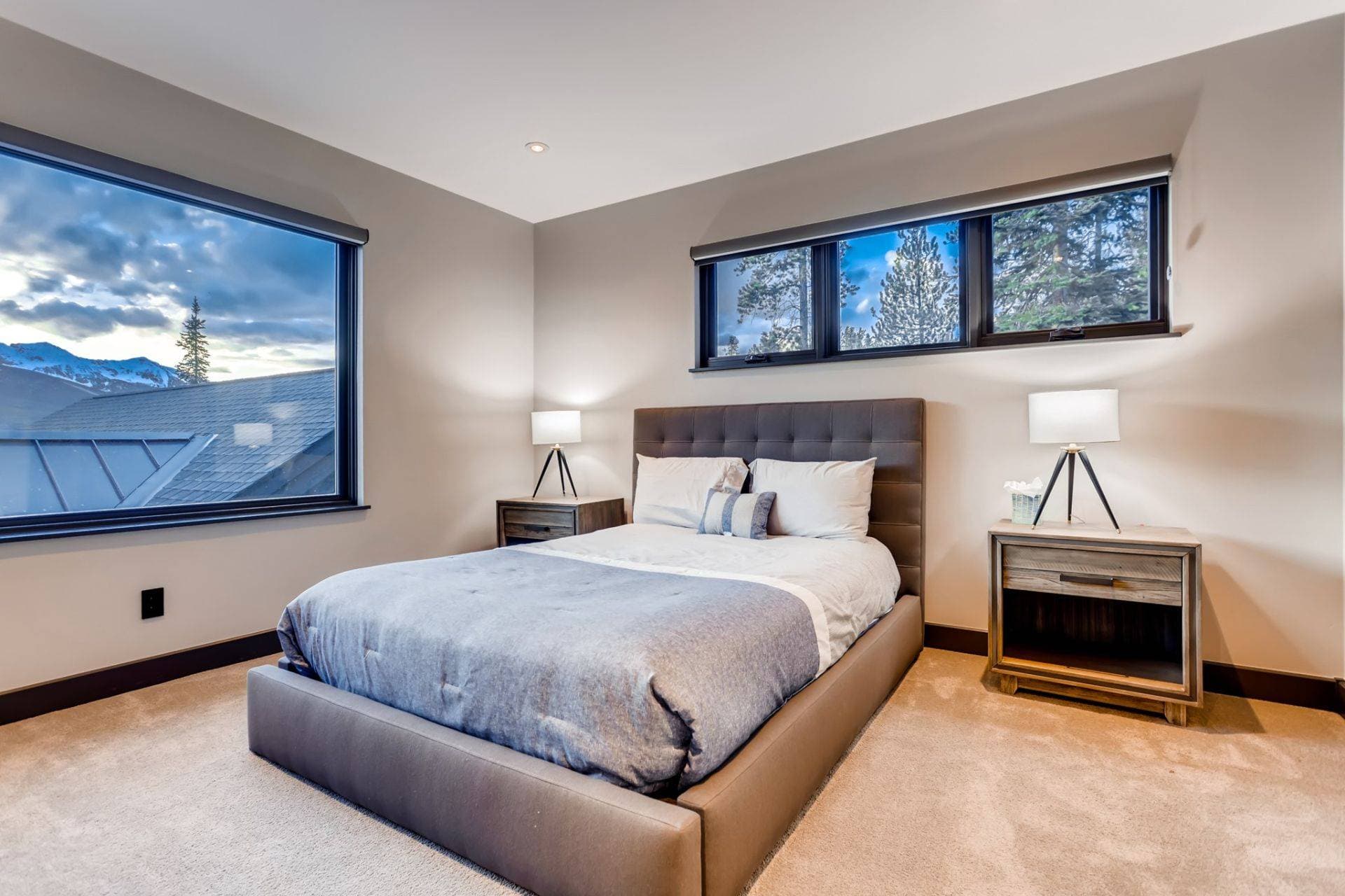 Bearadise Forest - Image 15