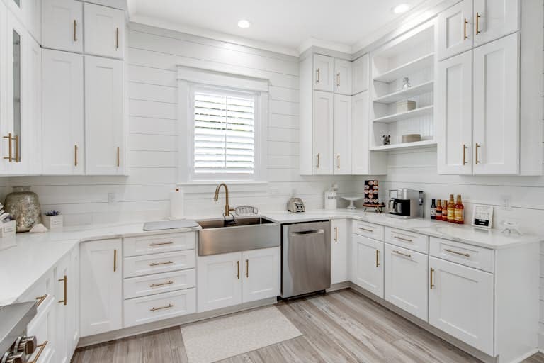 Waterdog I - Image 5