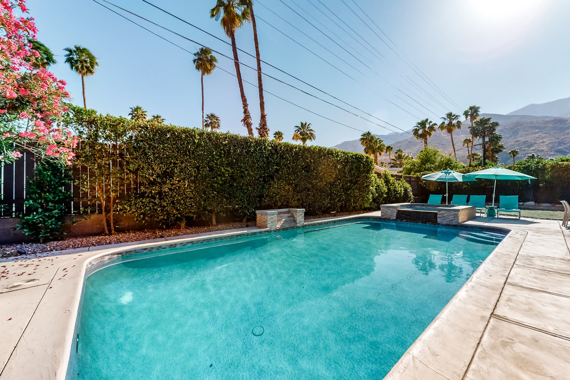 Twin Palms Sunsation - Image 25