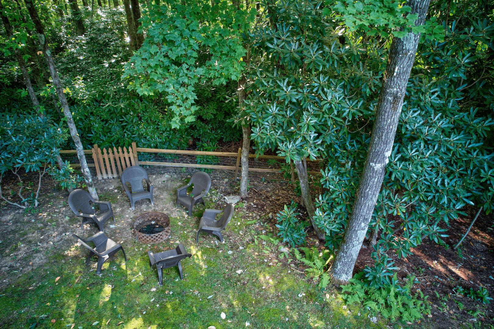 High on Cloud Nine - Image 3