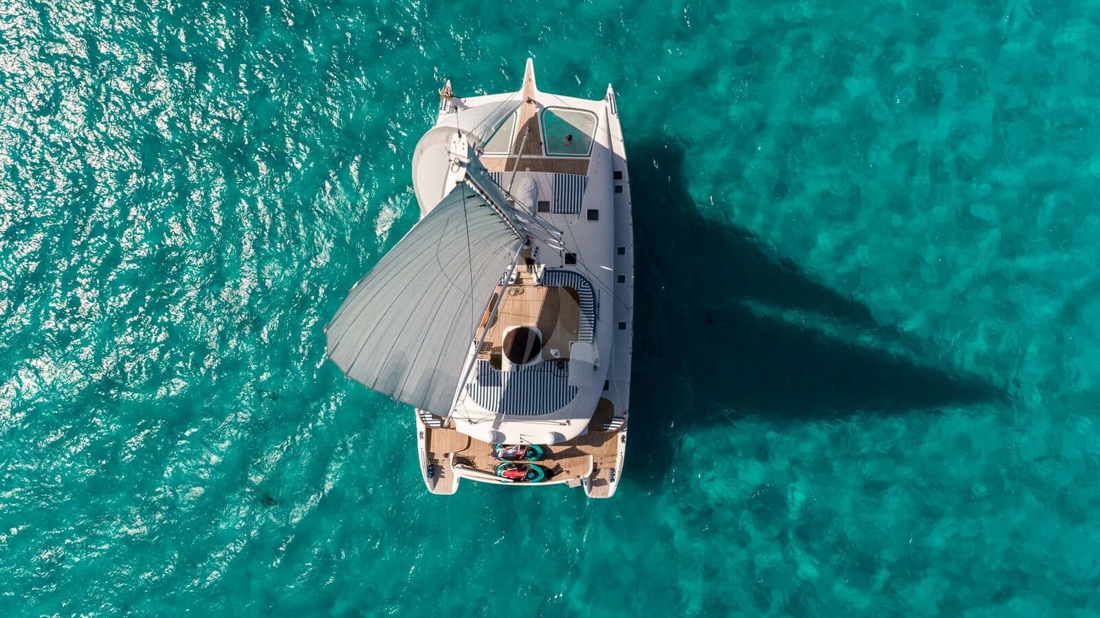 Blue Gryphon Catamaran - Image 15