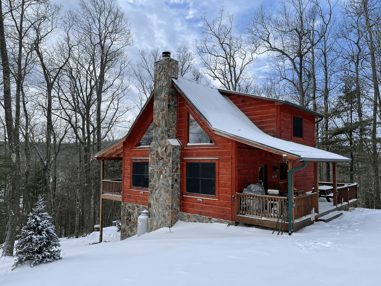 Bearadise at Blue Ridge - Image 34