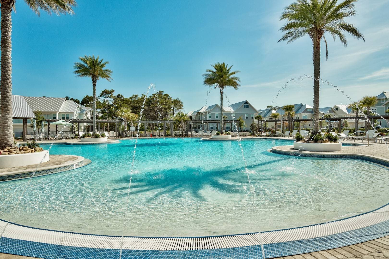 Palm Tree Paradise - Image 3