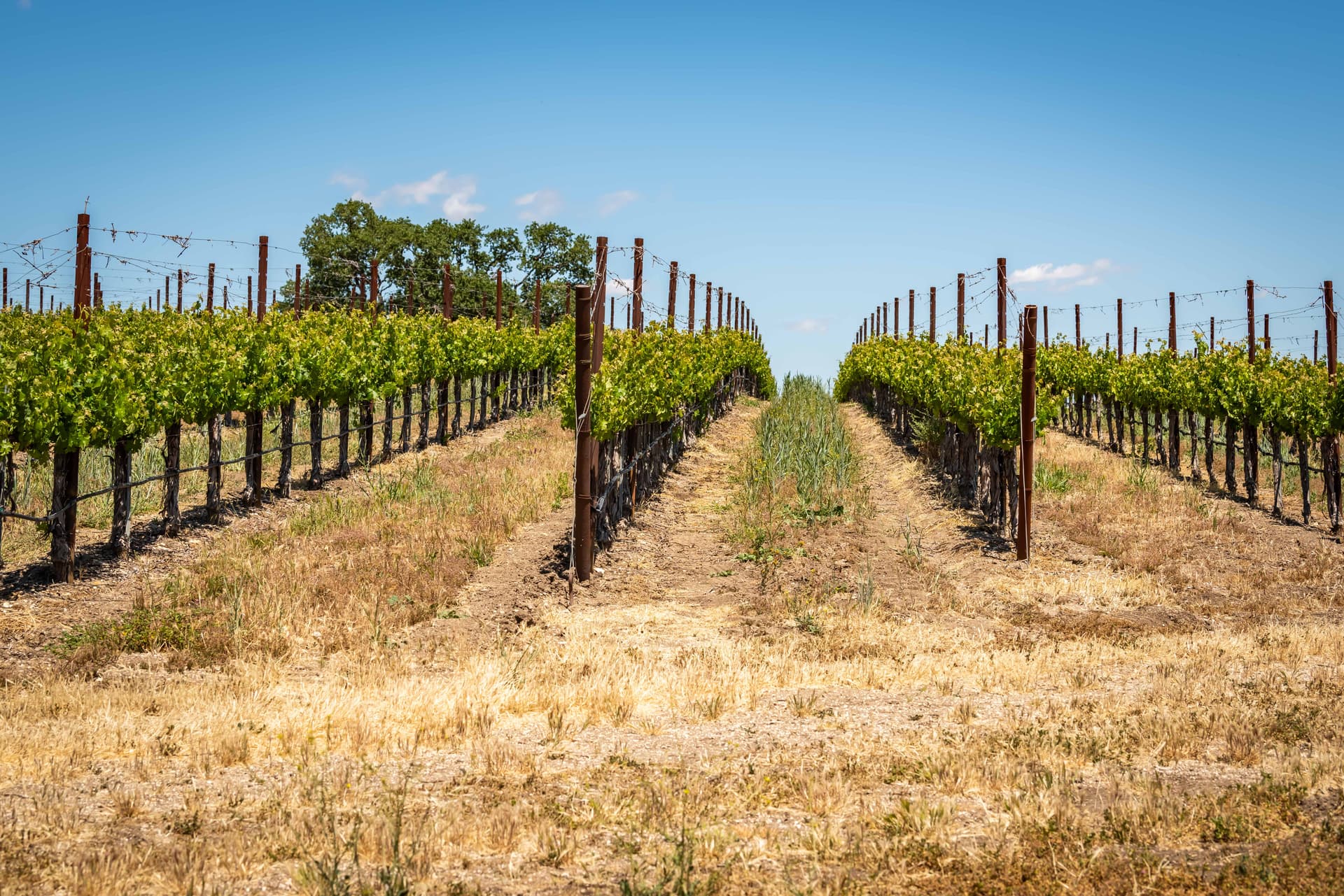 Hilltop Oasis Place - Image 51