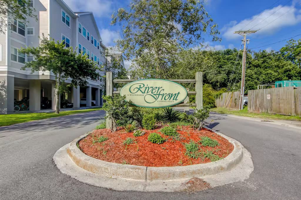 One Eyed Chihuahua - Image 20