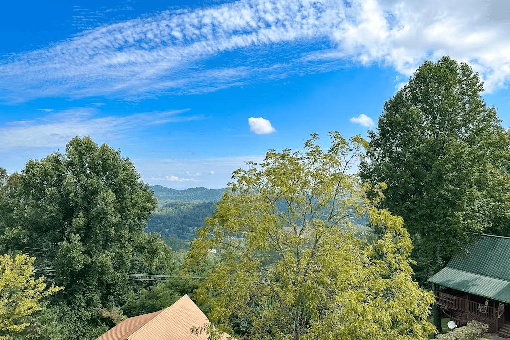 Little Black Bear Retreat - Image 9