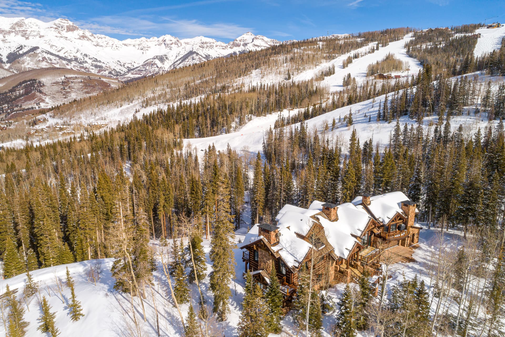 Dancing Bear - Image 5