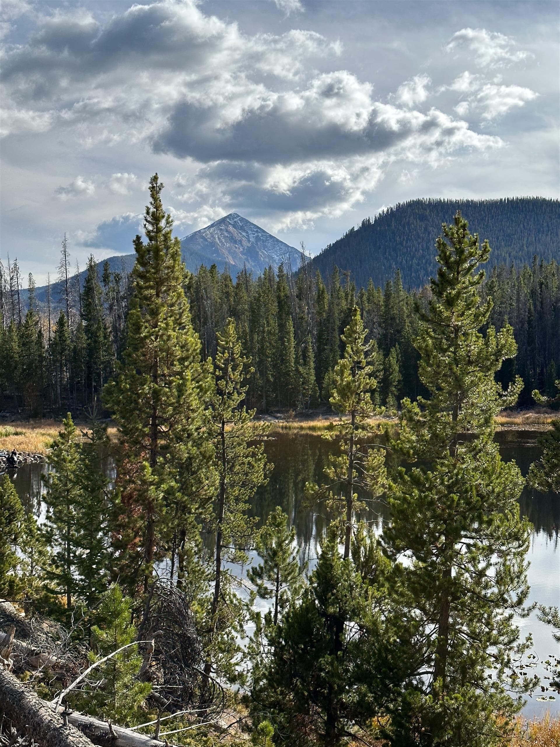 Fish Hawk House - Image 28