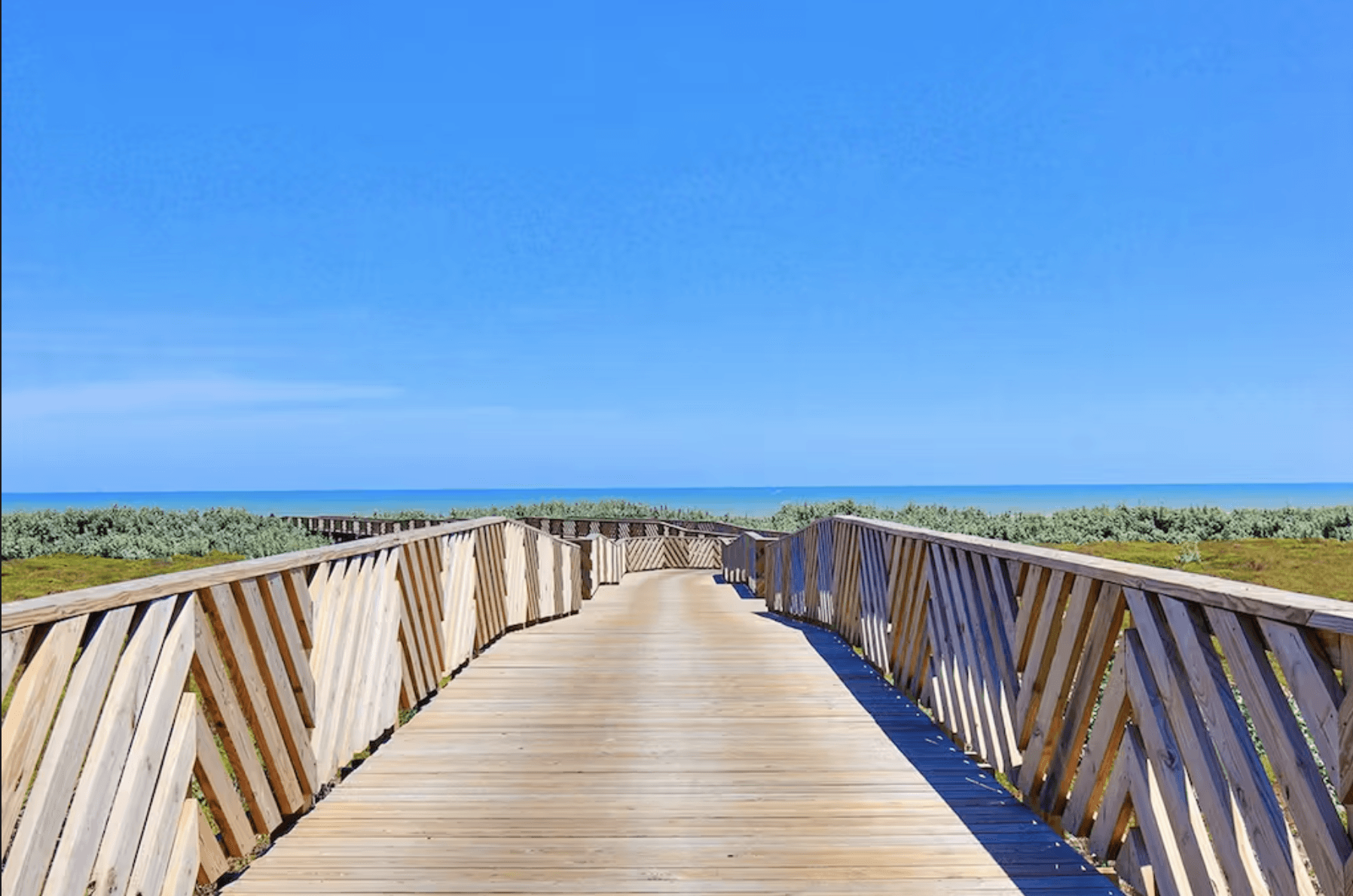 Wild Octopus Home - Image 33