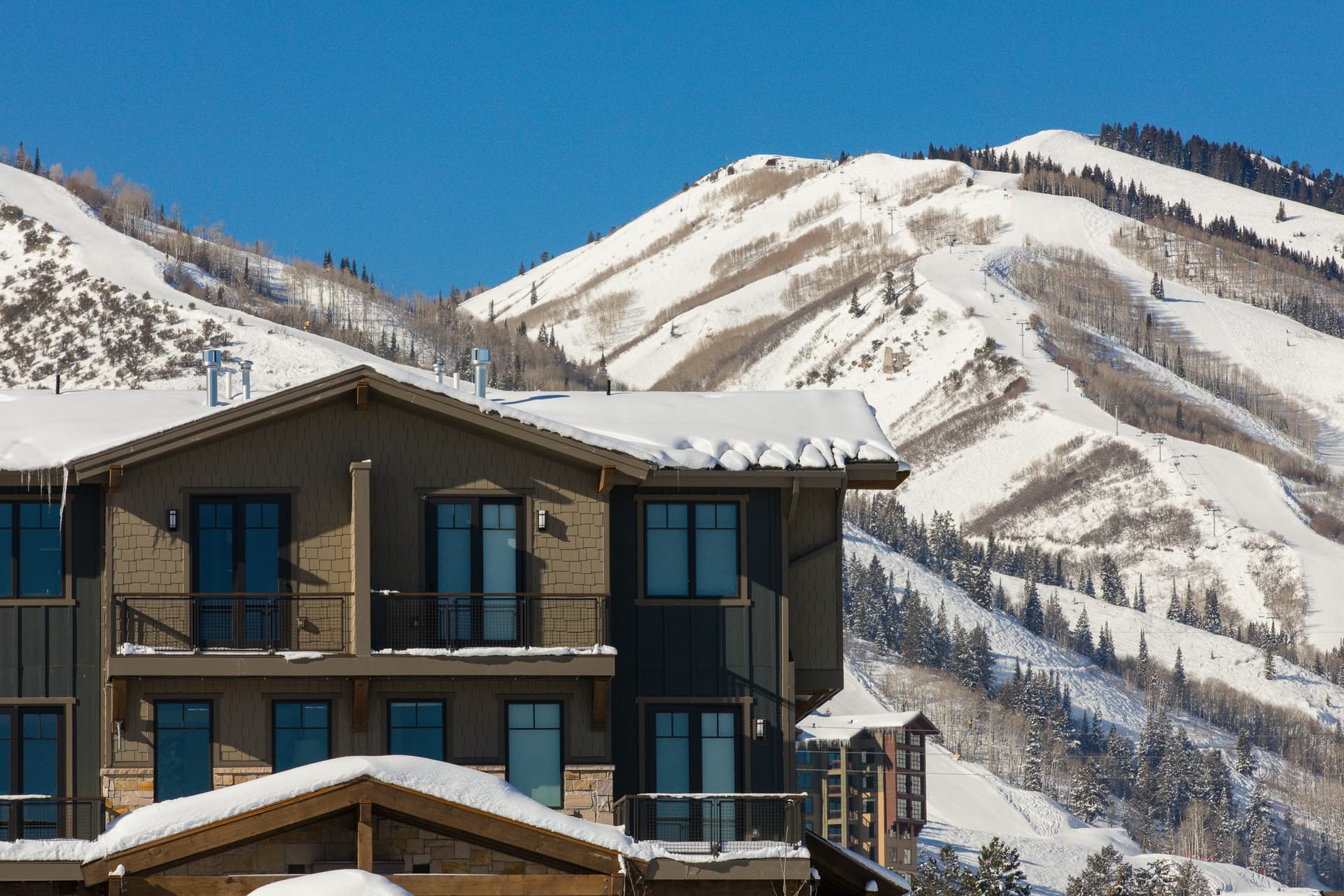 Blackstone 1G Home - Image 2