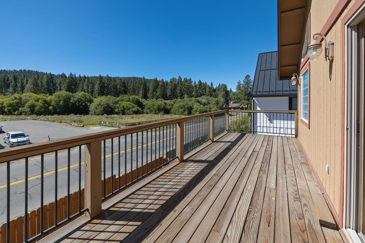 Paw Print - Image 27