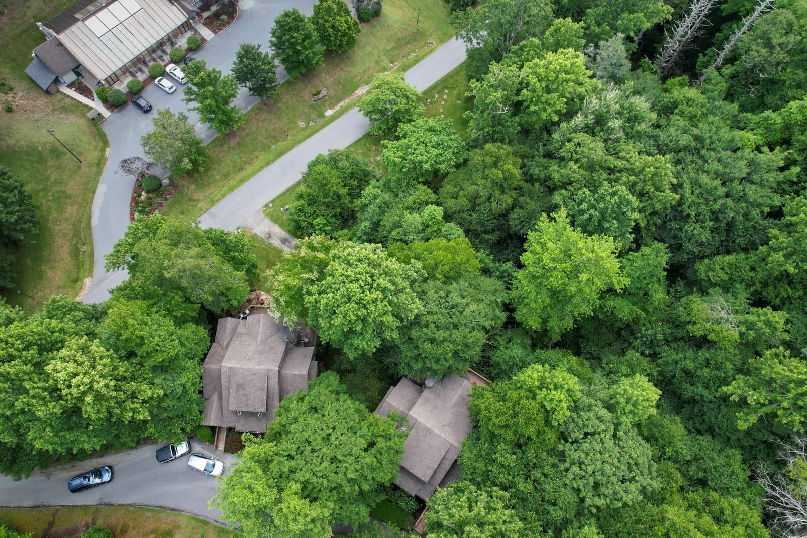 Tree House at Echota - Image 44