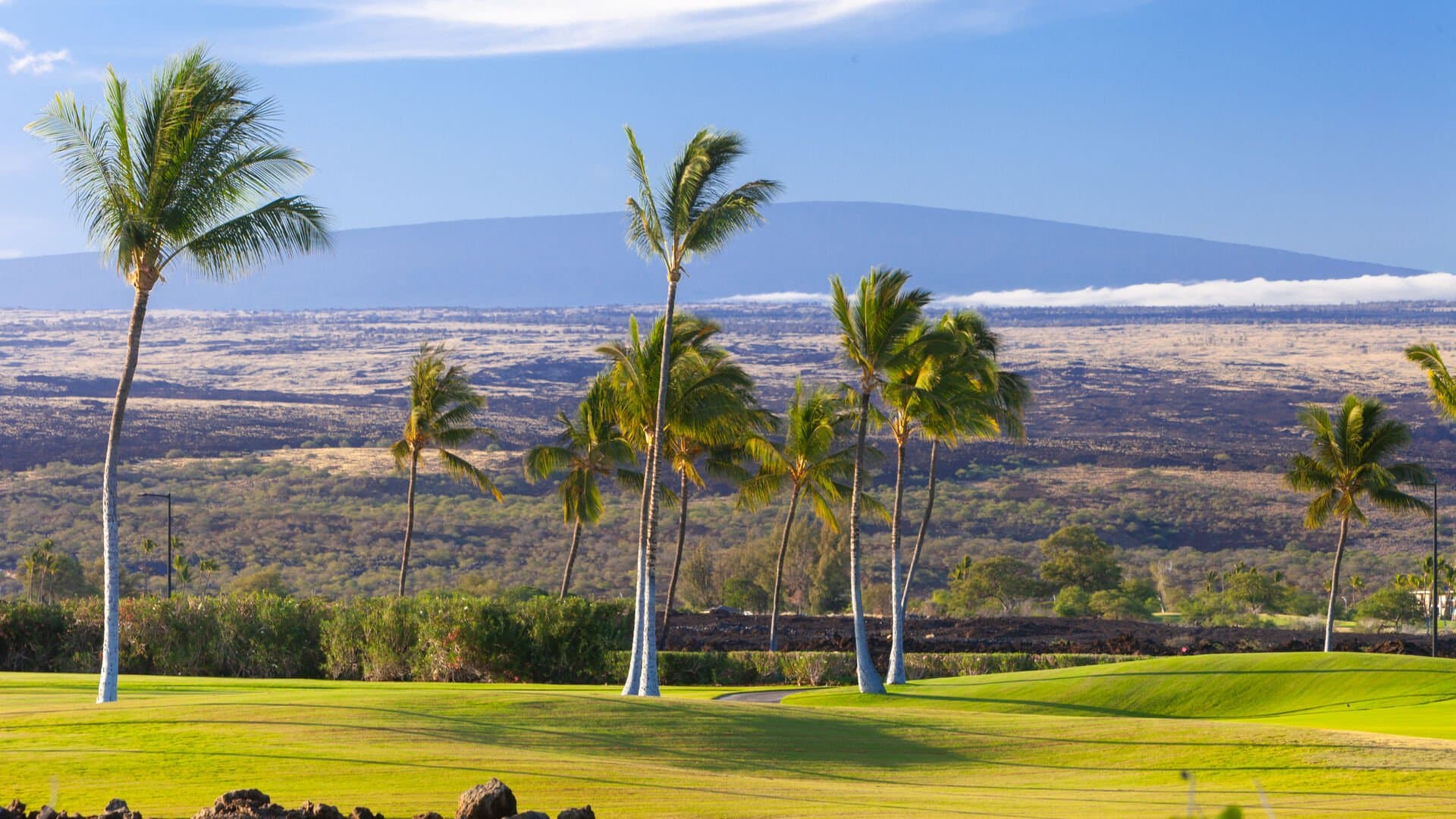 Elegant Escape - Image 68