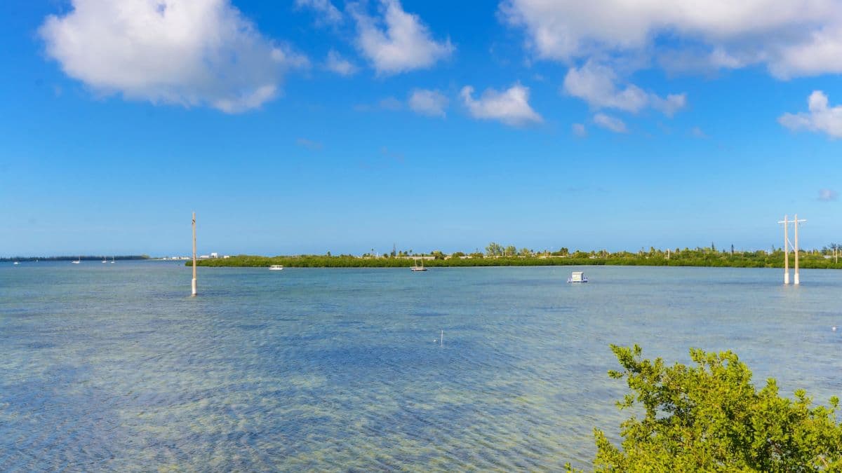 Southern Comfort - Image 32