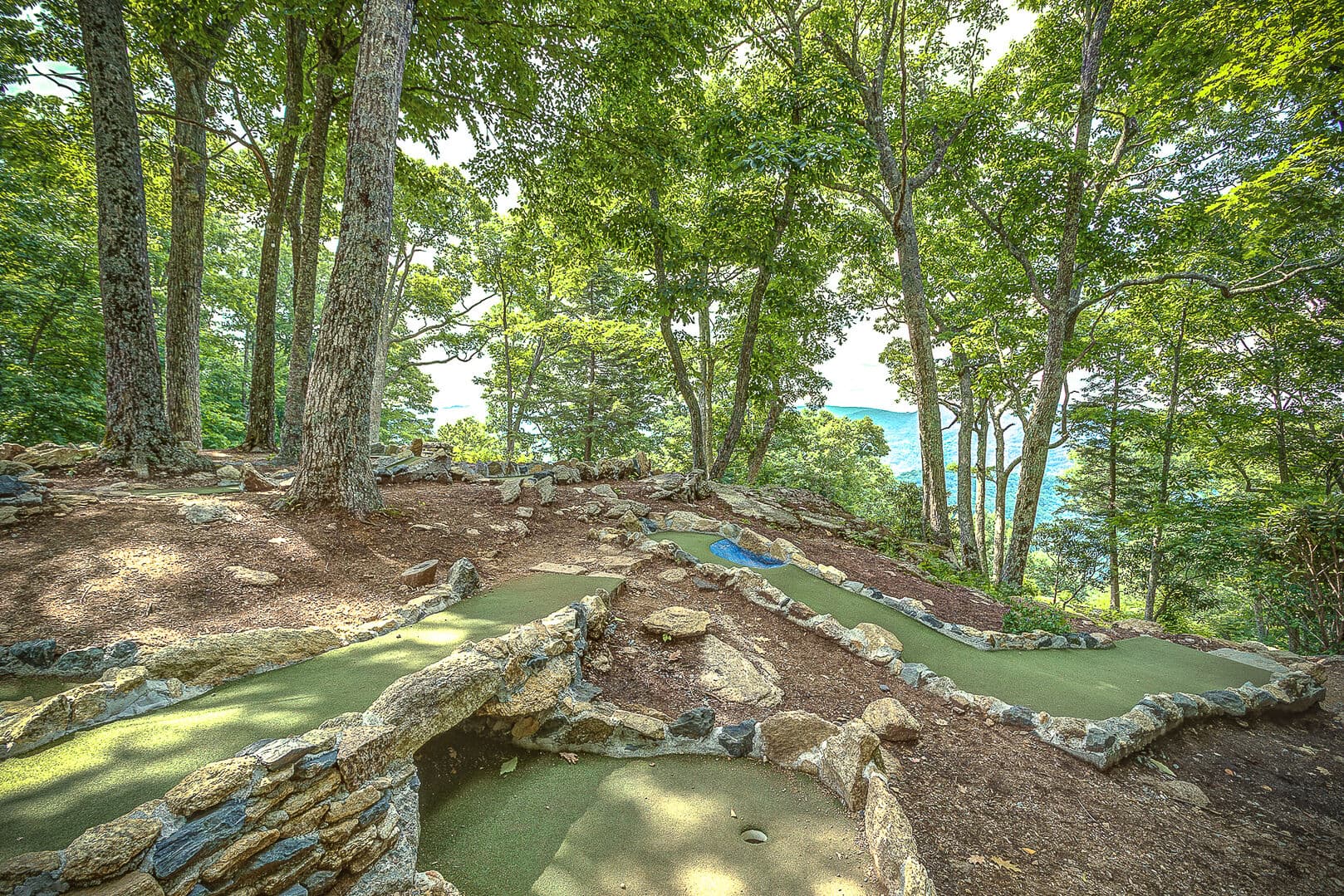 Peak A View Home - Image 52