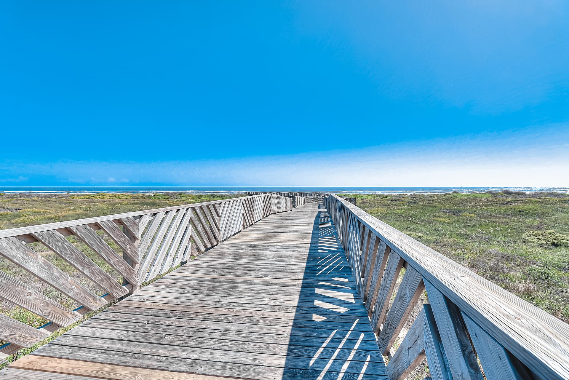 Sun-drenched on Sundew - Image 31