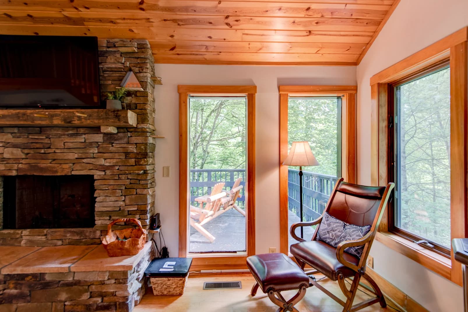 Paws a While - Image 7