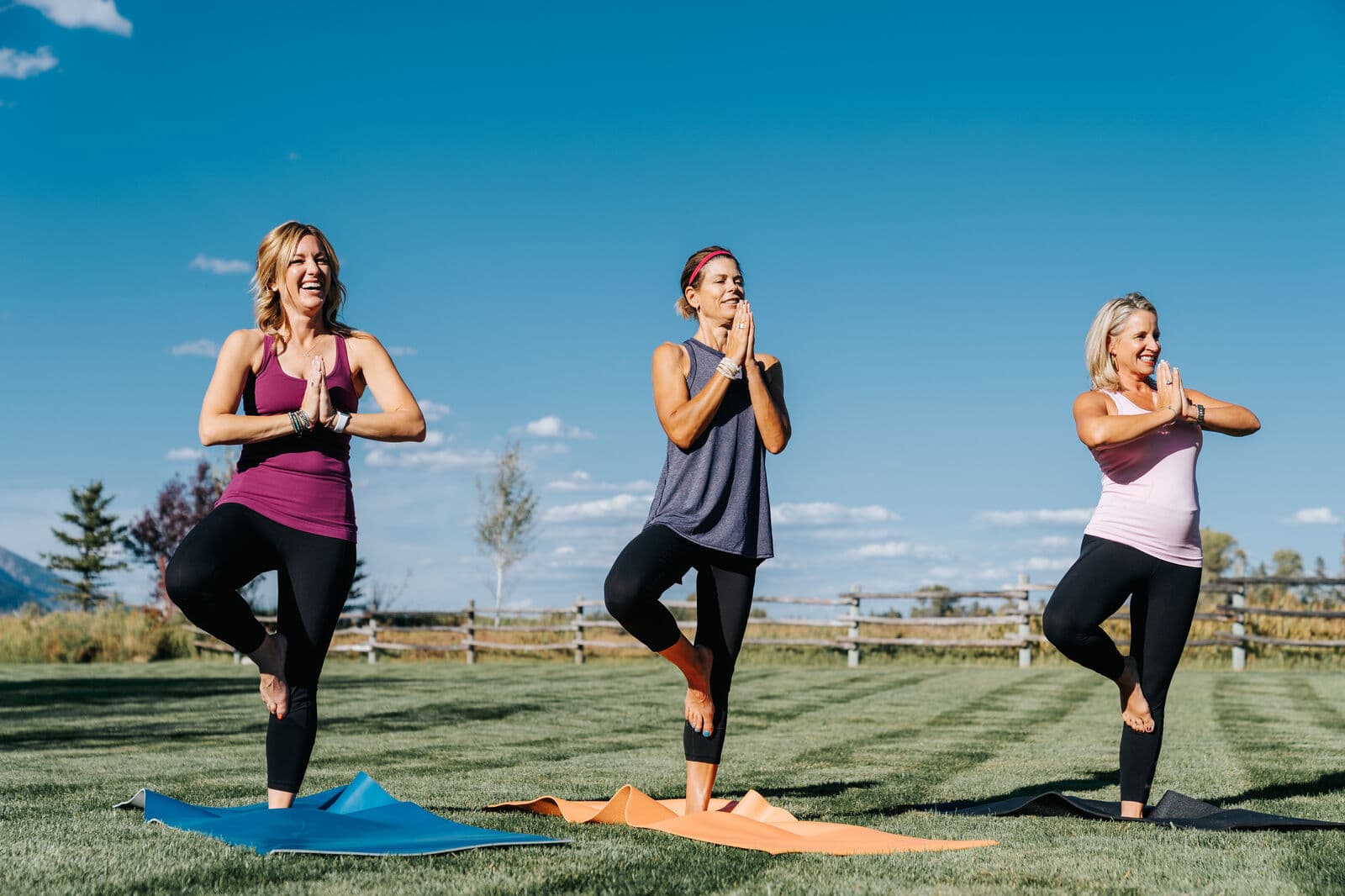 Open Meadows - Image 68