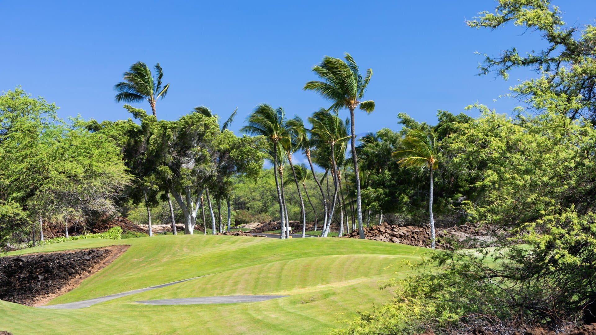 Daydream Villa - Image 62