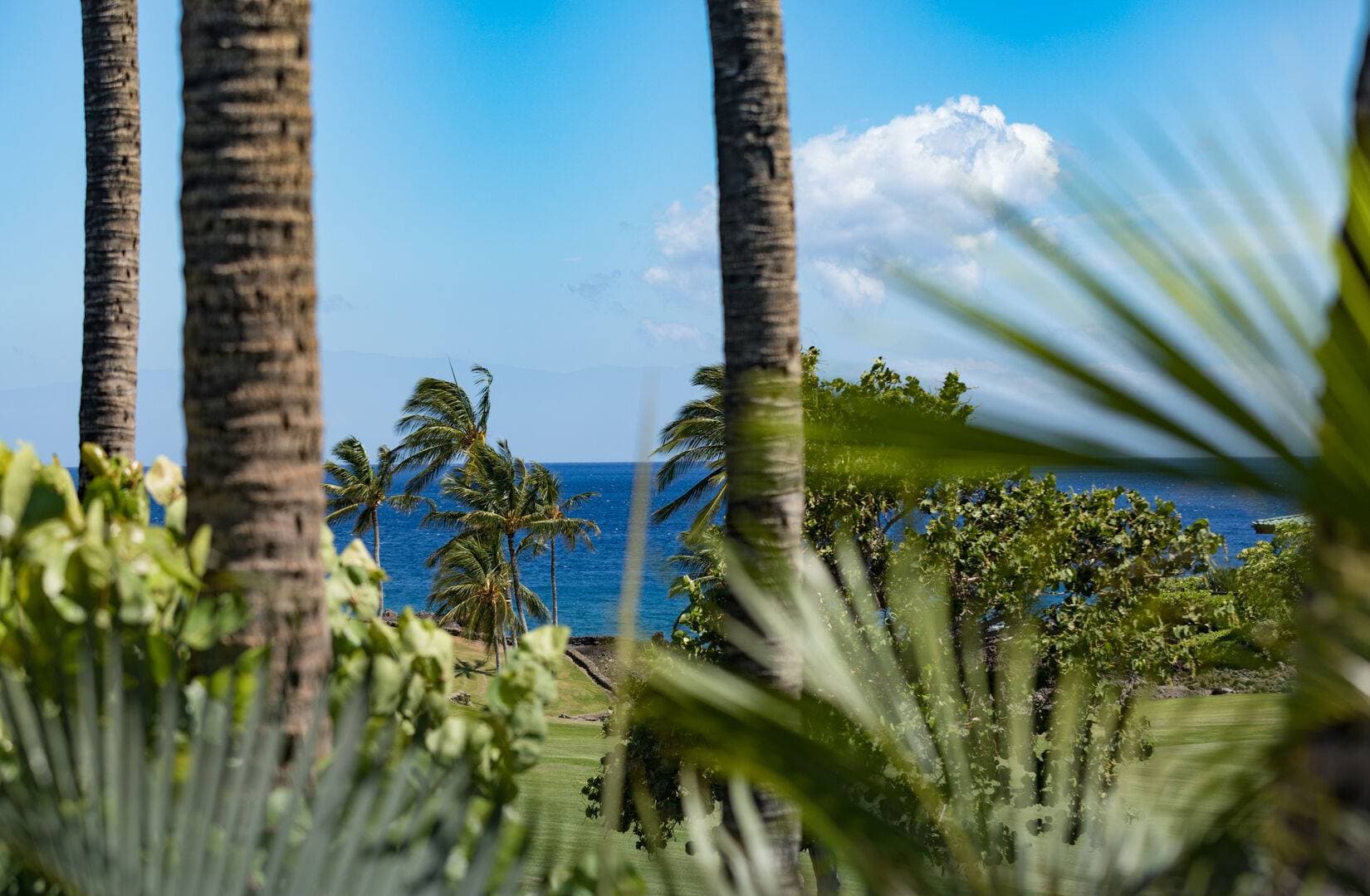 Mauna Residence - Image 16