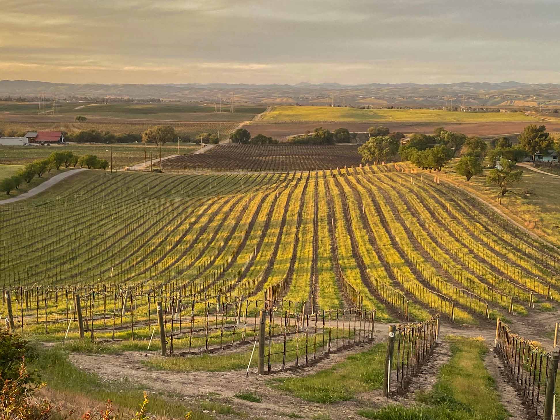 Hidden Acre Vineyard Estate - Image 79