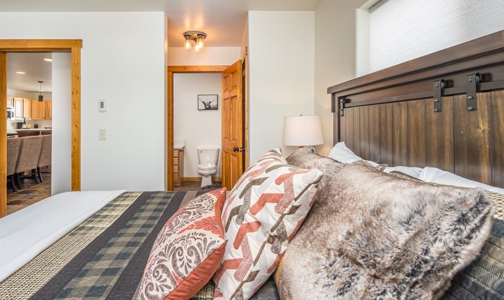 Blacktail Buck - Image 9