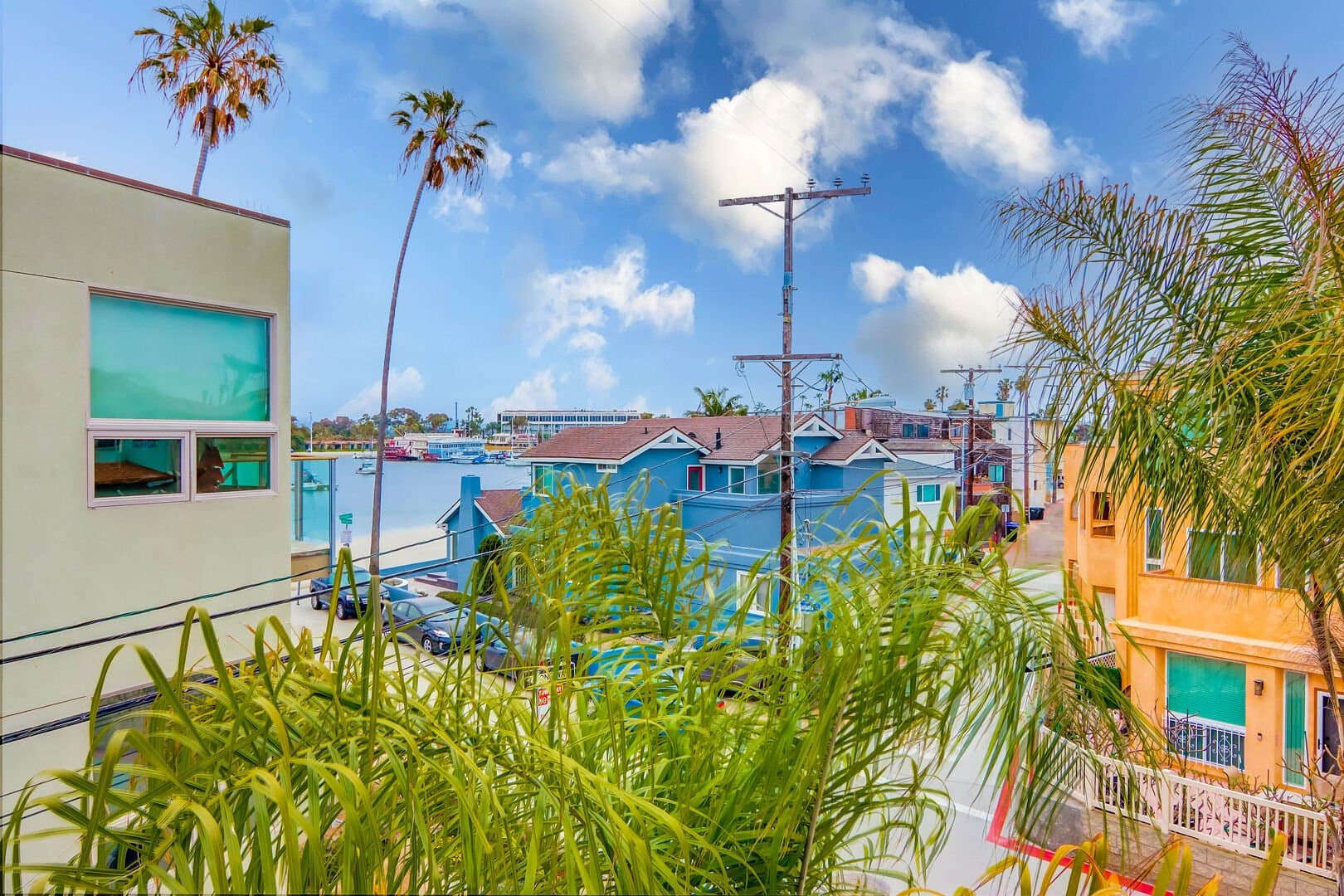 Bay Dream - Image 23