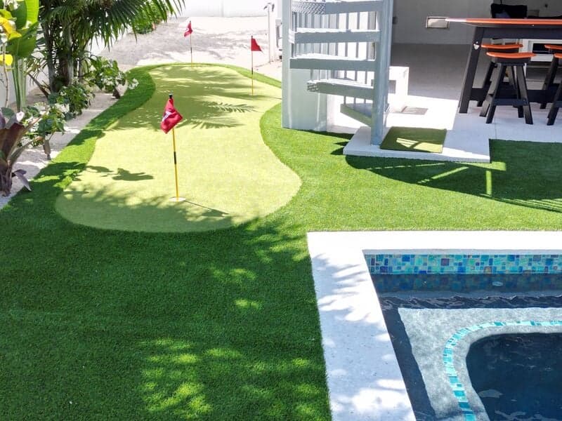 TipSea Turtle - Image 59