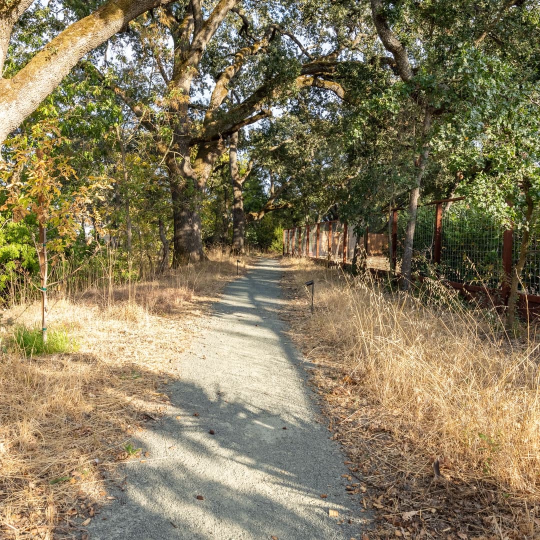 Fryer Creek Agriturismo - Image 48