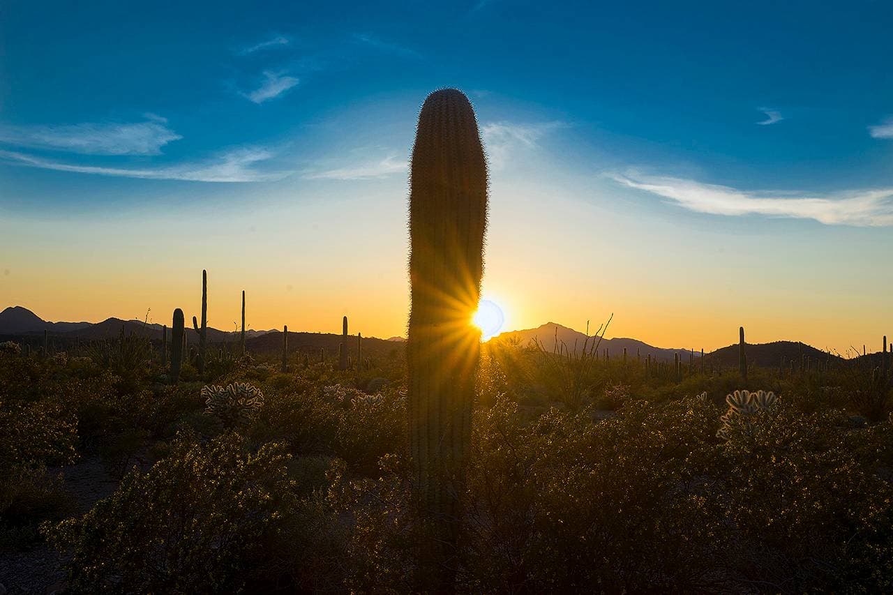 Villa de Paradis - Image 45
