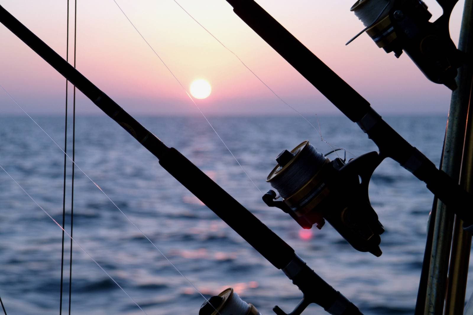 Urban Seaside - Image 46