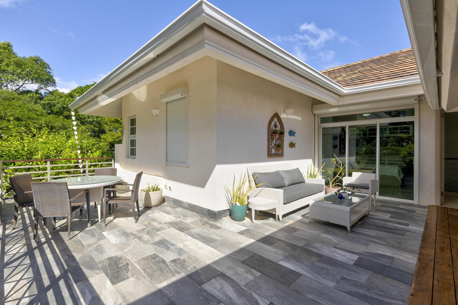 Tortuga #B55 - Image 20