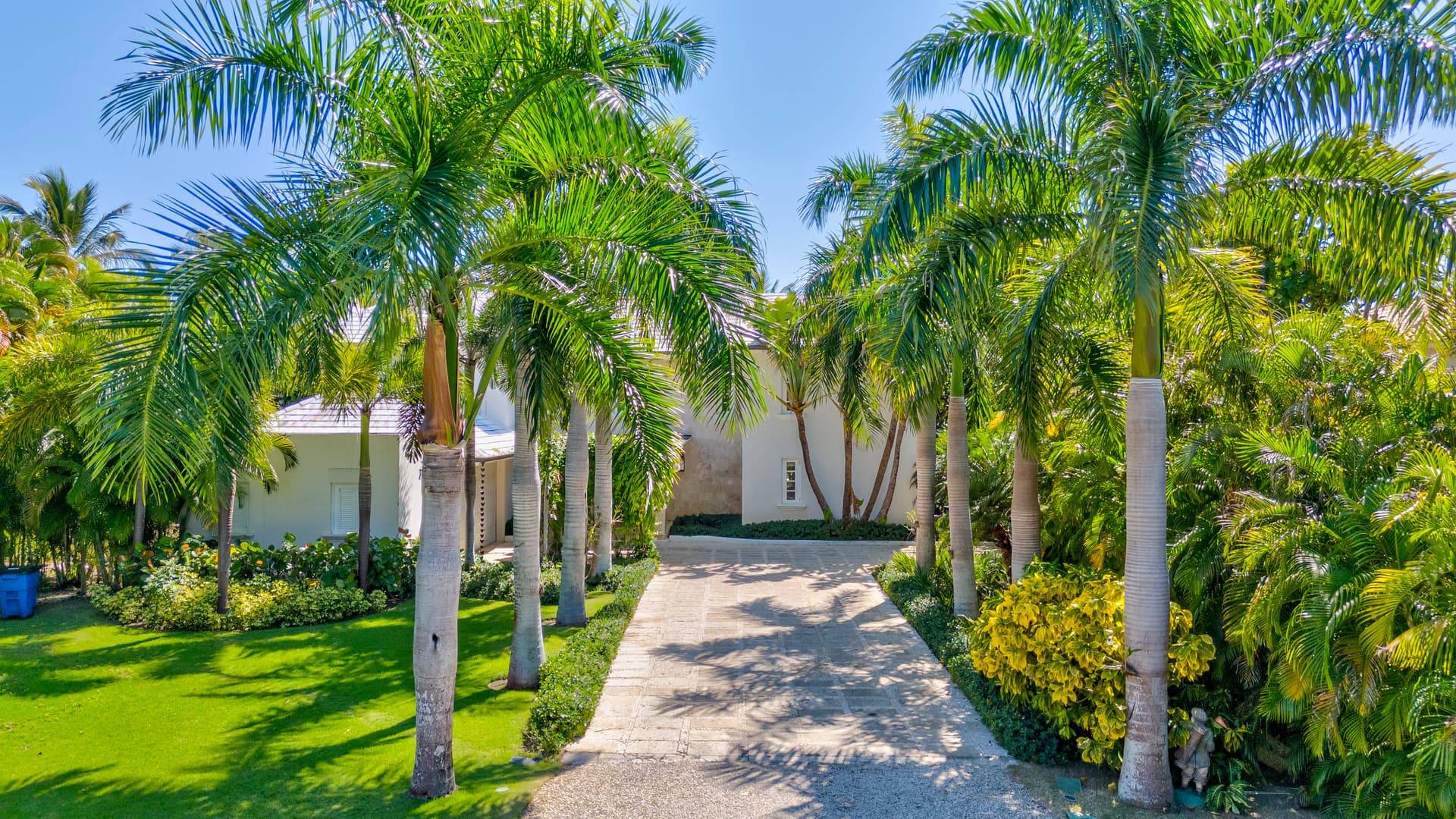 Tortuga #B28 - Image 14