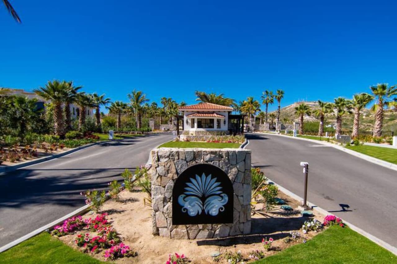 Coco Palma - Image 39