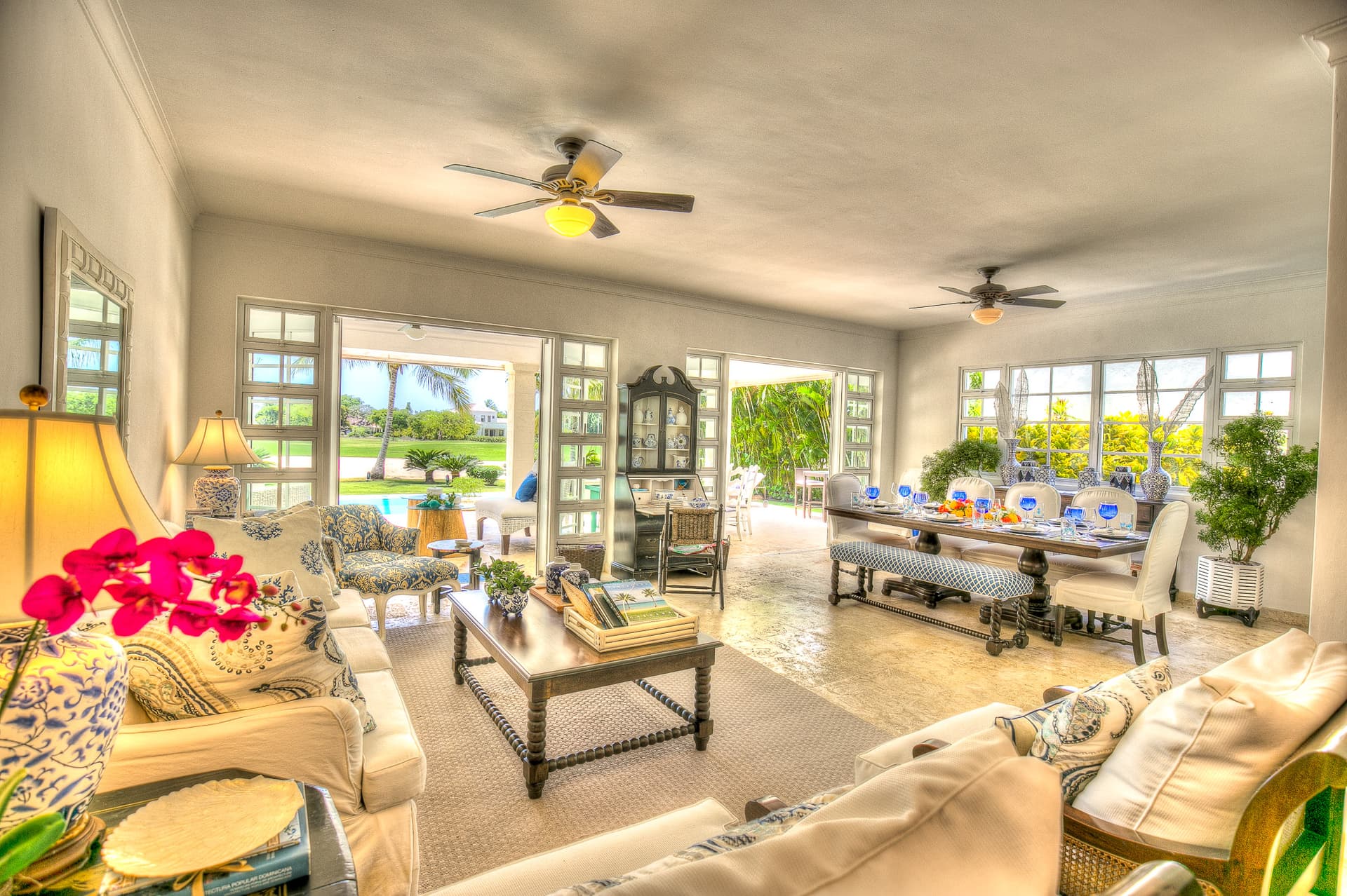 Tortuga Azul - Image 4