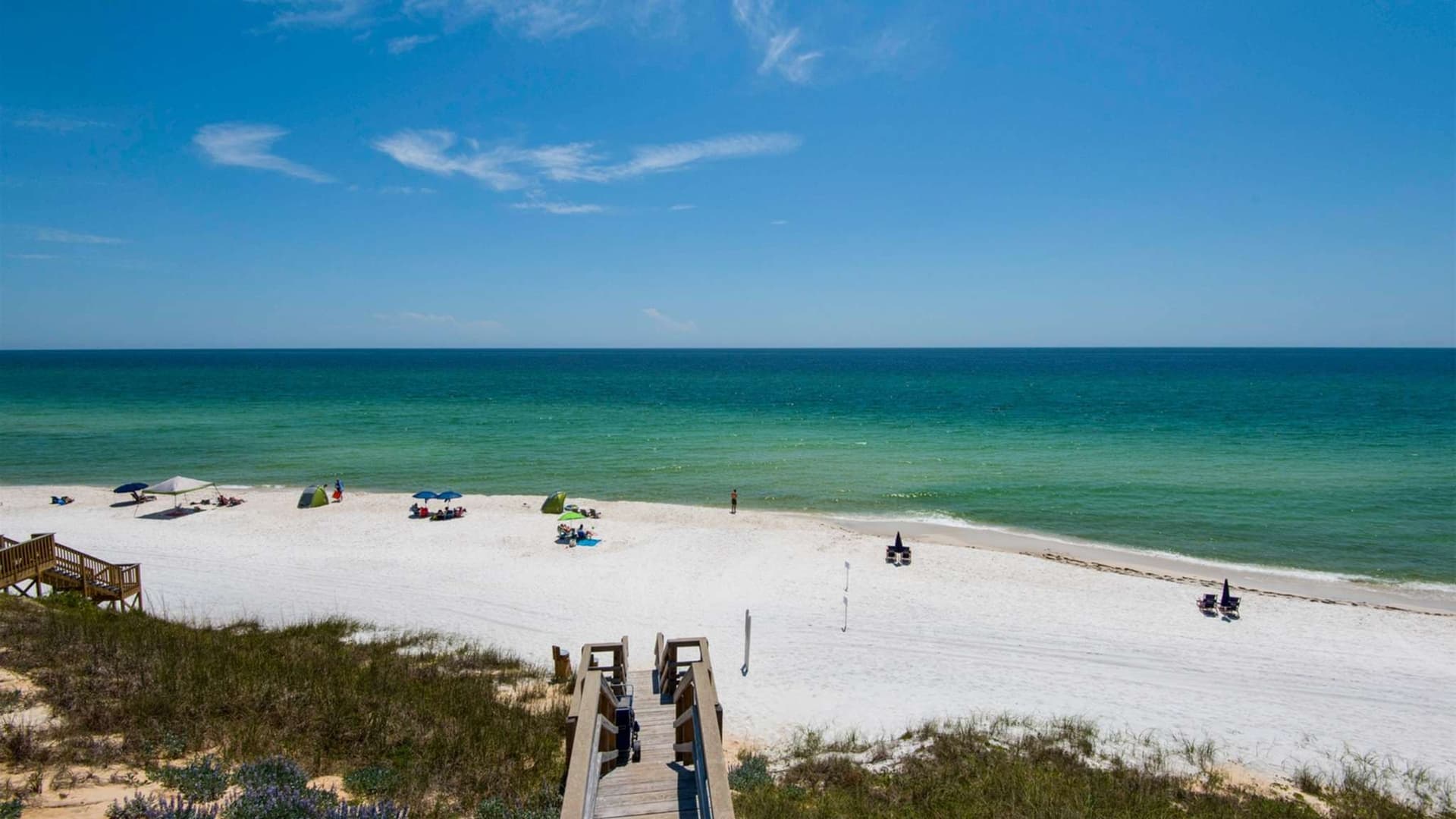 Vitamin Sea - Image 34