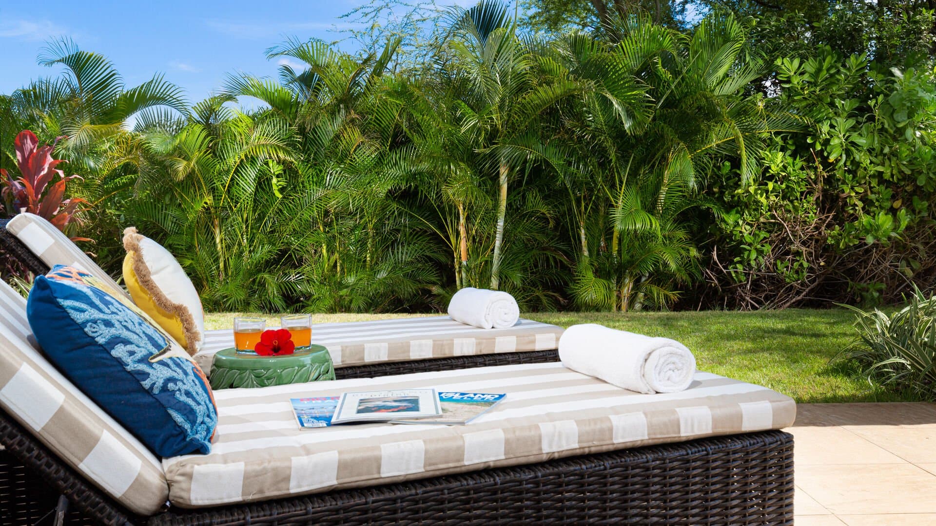 Pineapple Hale - Image 34